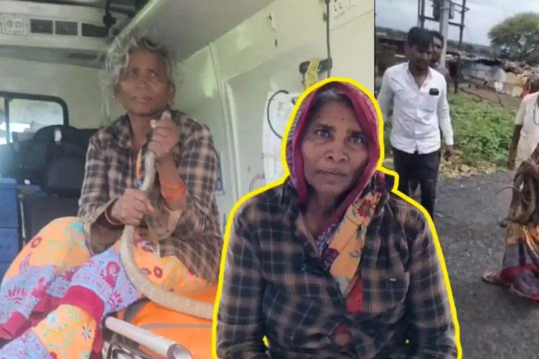 “பாம்பையே கையோடு கொண்டு வந்த மூதாட்டி!” கடித்த பாம்பைப் பிடித்து மருத்துவமனைக்கு வந்த தாய்.. ஆஸ்பத்திரியே அலறியது.. இணையத்தில் வைரல்..!!”