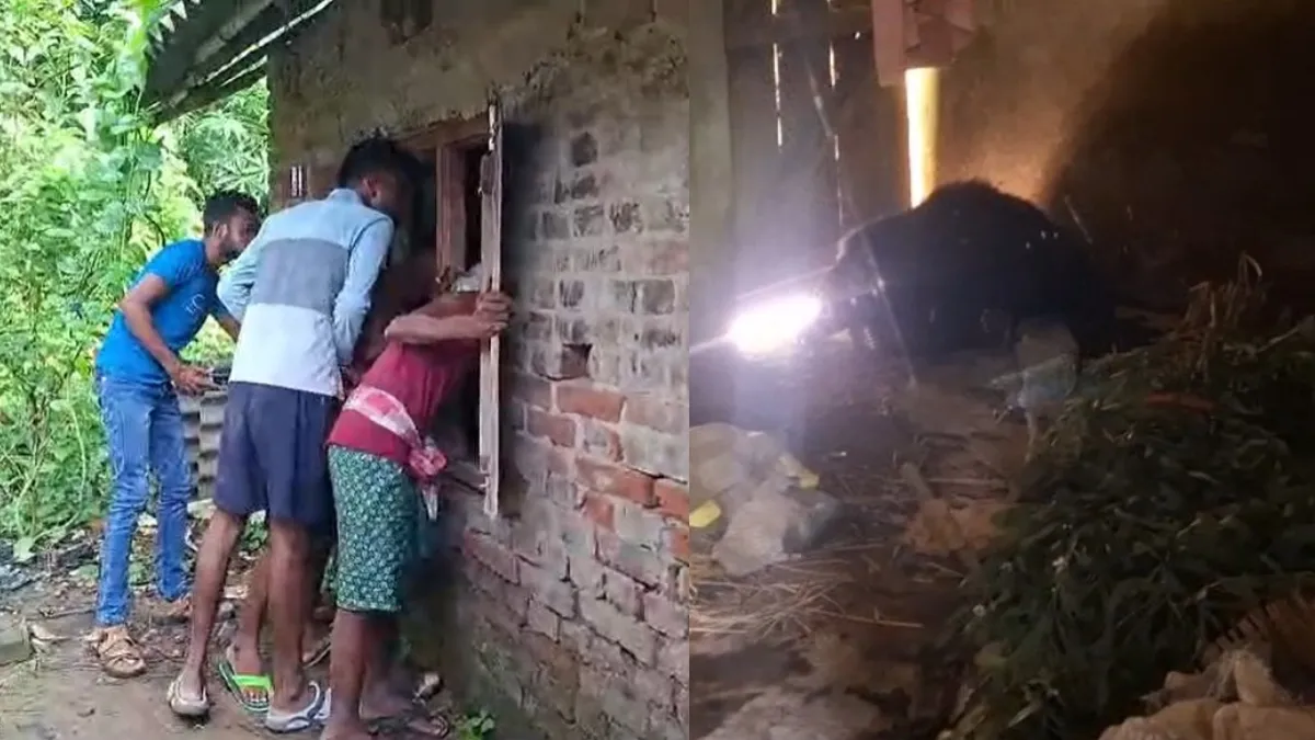 இதுதான் கரடி புகுந்த வீடா….? 5 மணிநேரம் தவியாய் தவித்த குடும்பம்…. ஒடிசாவில் நடந்த திகில் சம்பவம்….!!