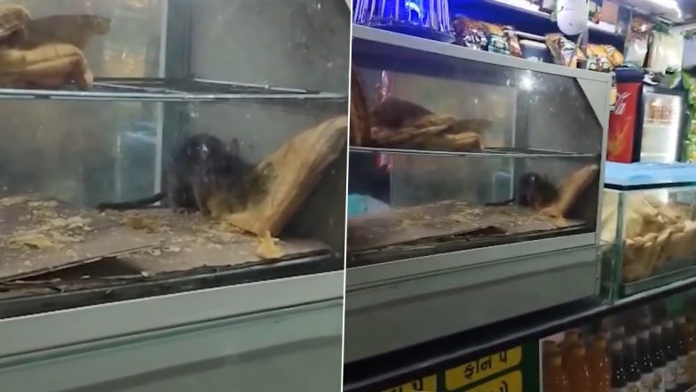 “கண்ணாடி பெட்டிக்குள அதுவா சுத்துது!”… ரயில் நிலையத்தில் உலா வந்த எலி… பஃப்ஸைக் கடித்துத் தின்ற பகீர் வீடியோ..!!!