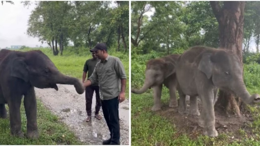 ஃபர்ஸ்ட் நில்லுங்க.. எங்கள கவனிச்சிட்டு அப்புறம் போங்க… ஐஏஎஸ் அதிகாரியிடமே சுங்க கட்டணம் வசூலித்த யானைகள்… இணையத்தை கலக்கும் ட்ரெண்டிங் வீடியோ…!