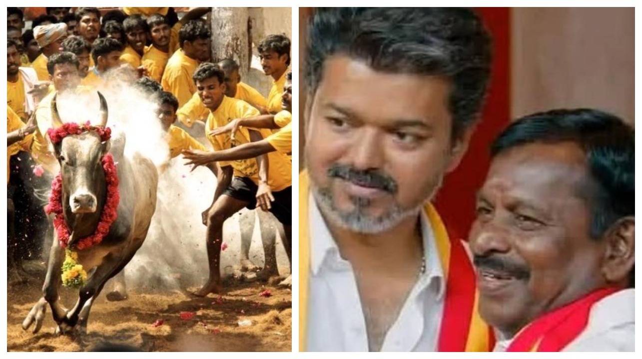 தமிழகத்தில் ஜல்லிக்கட்டுக்கு தடையா…? “இளைஞர்களை சீரழிக்கும் விளையாட்டு”… வார்த்தையை விட்ட எம்எல்ஏ… வெடித்த சர்ச்சை… தவெக எம்எல்ஏ கருப்பையா பரபரப்பு விளக்கம்…!!
