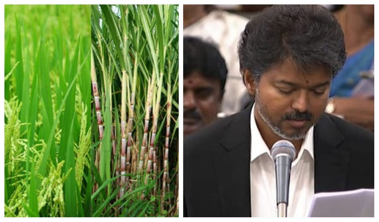 Breaking: தமிழக வரலாற்றில் முதல் முறை… சன்னரக நெல்லுக்கு ரூ.2750… கரும்புக்கு ரூ.4000 விலை… முதல்வர் விஜயின் அசத்தல் அறிவிப்பு…!!
