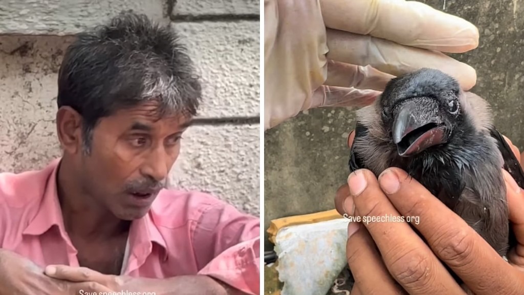 நான்தான் பர்ஸ்ட் புடிச்சேன்…! இப்ப சமைச்சு சாப்பிட போறேன்… காகத்தை சைக்கிள் கேரியரில் கட்டி வீட்டுக்கு எடுத்துட்டு போன போதை ஆசாமி… வைரலாகும் அதிர்ச்சி வீடியோ…!!!