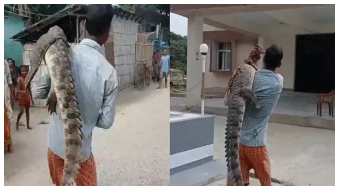 “ஆட்டைத் தூக்கிட்டு வர்ற மாதிரி முதலையைத் தூக்கிட்டு வந்துட்டான்ப்பா!”… போலீஸ் நிலையத்திற்குள் நடந்த கூத்து… நெட்டிசன்கள் திகைப்பு!.. வைரலாகும் வீடியோ..!!!