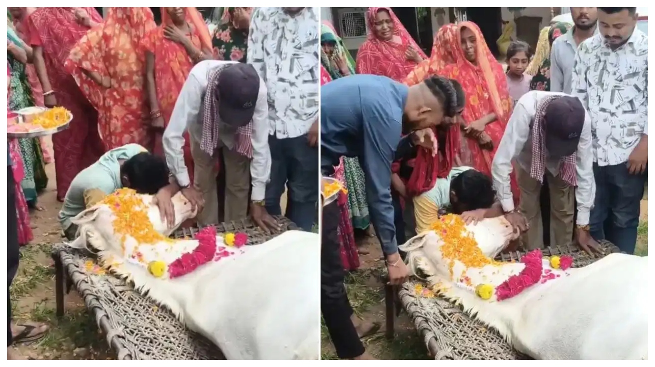 “நீ வெறும் மிருகம் இல்லடா, எங்களோட மூத்த புள்ளை!”.. செல்லக் குதிரையின் மறைவால் கண்ணீர் கடலில் மூழ்கிய குடும்பத்தினர்!.. வைரலாகும் வீடியோ..!!!