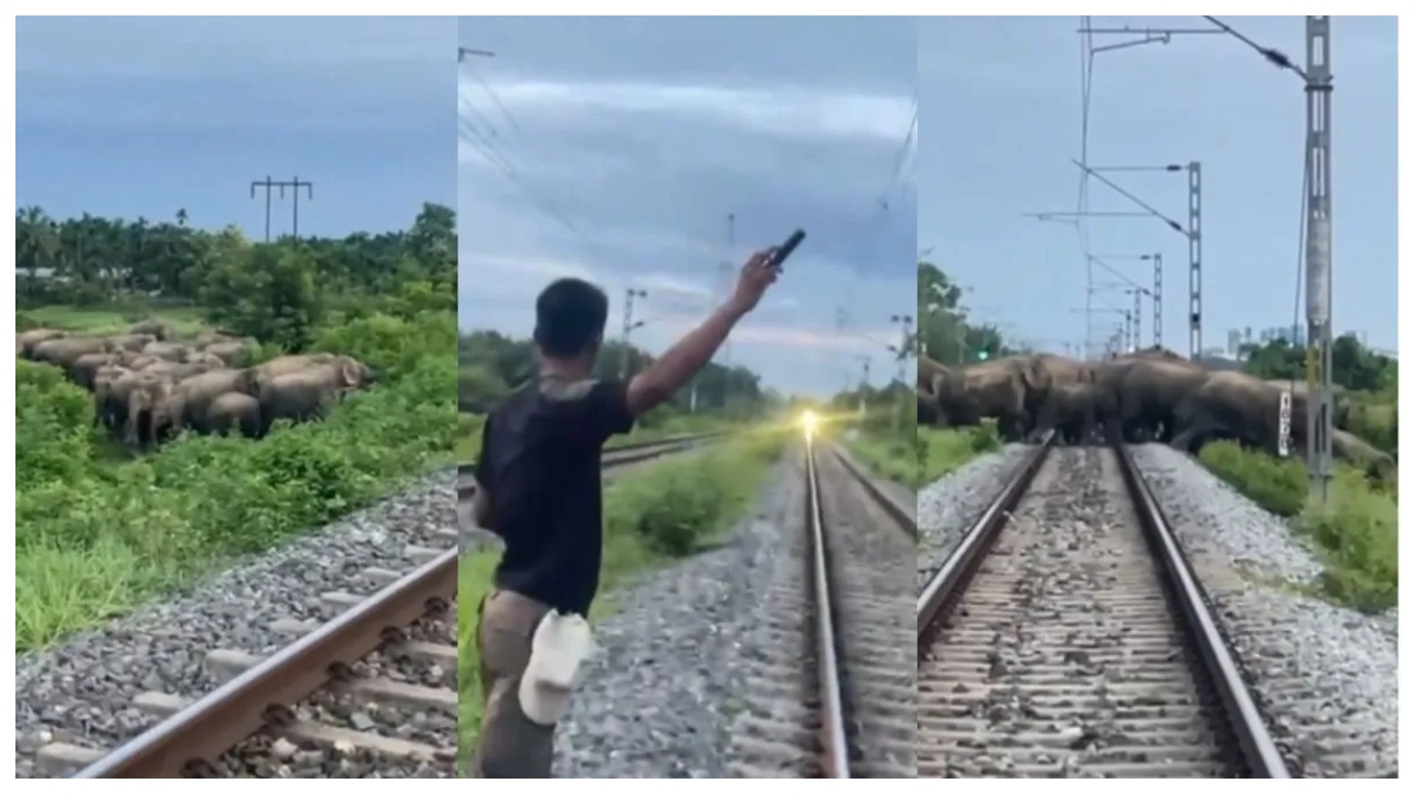 “ஐயோ அந்த யானைக்கூட்டம் மேல ரயில் மோதிடுமோனு நெஞ்சே பதறிப்போச்சுப்பா..!” சமயோசித புத்தியால் பேரழிவைத் தடுத்த வீரன்.. நெகிழ வைக்கும் வீடியோ..!!!