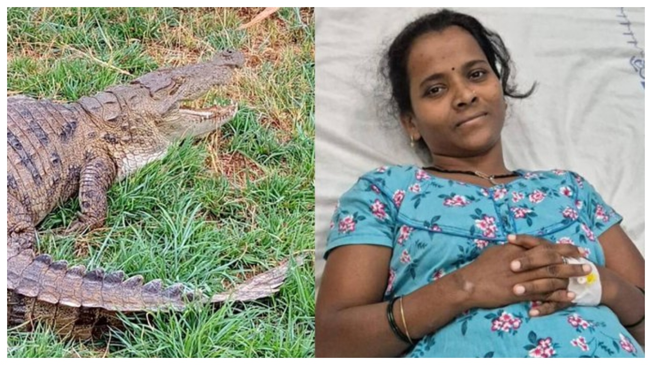 “கைல இருந்த பலமெல்லாம் ஒன்னா திரட்டி இழுத்தேன்!” – 10 வயது சிறுமி காட்டிய தைரியத்தைக் கண்டு உறைந்து போன வனத்துறை அதிகாரிகள்!!!