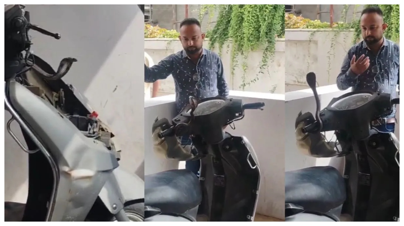 “வண்டியை எடுக்கலாம்னு கைய வச்சப்போ உள்ள இருந்து படம் எடுத்து நிக்குது, பயத்துல உயிரே போயிடுச்சு..!” ஸ்கூட்டிக்குள் ஒளிந்திருந்த குட்டி, அதிர வைக்கும் வீடியோ..!!!