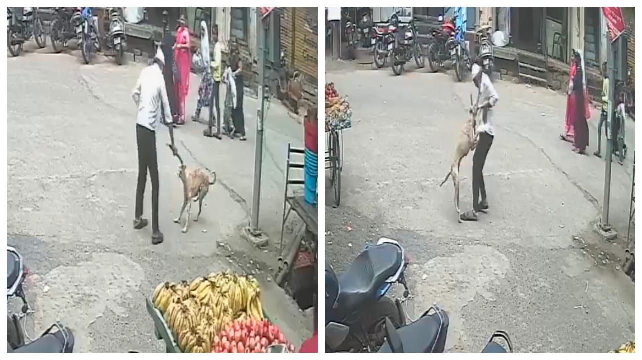 “பொதுமக்களுக்குப் பாதுகாப்பு எங்கே….?” அதிகரிக்கும் தெருநாய் தொல்லை….   பழ வியாபாரியைக் கொடூரமாகக் குதறிய சம்பவம்…. வைரலாகும் அதிர்ச்சி வீடியோ‌….!!