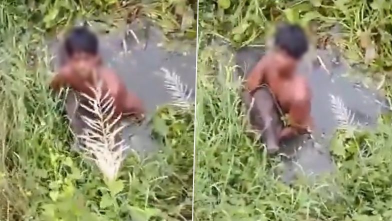 ஒன்றரை மணி நேரம்..! “குளித்துக் கொண்டிருந்தபோது எமன் போல் பாய்ந்த காட்டுப்பன்றி”.. உயிரைக் காப்பாத்த கழுத்தை விடாமல் பிடித்த 14 வயது சிறுவன்.. வியக்க வைக்கும் துணிச்சல்… இது ரீல் அல்ல ரியல்.. திகில் காணொளி..!