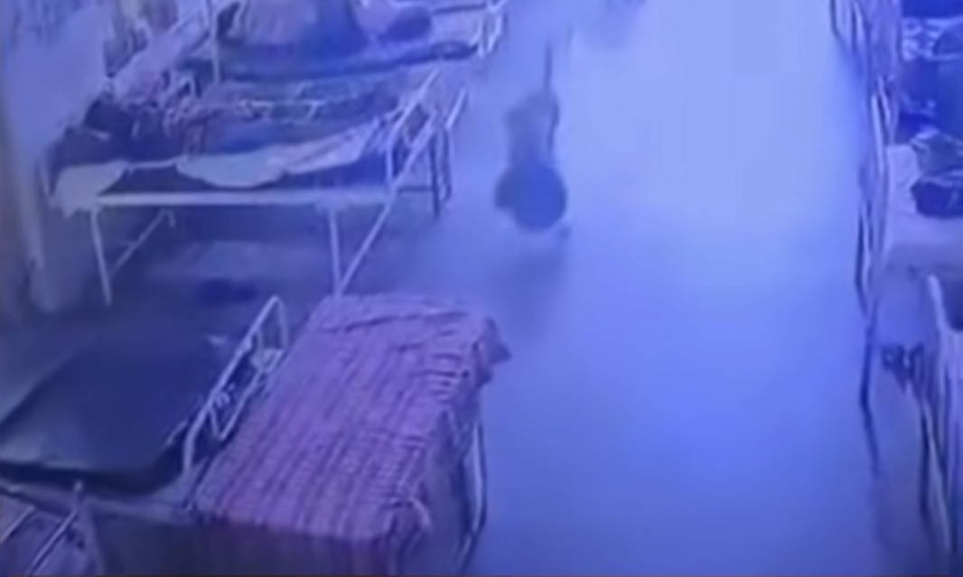 4 லட்ச ரூபாய் நகையோடு எஸ்கேப் ஆன நாய்…. சிசிடிவி வழியா சேஸ் பண்ணிய போலீஸ்…. கடைசியில் நடந்த ட்விஸ்ட்….!!