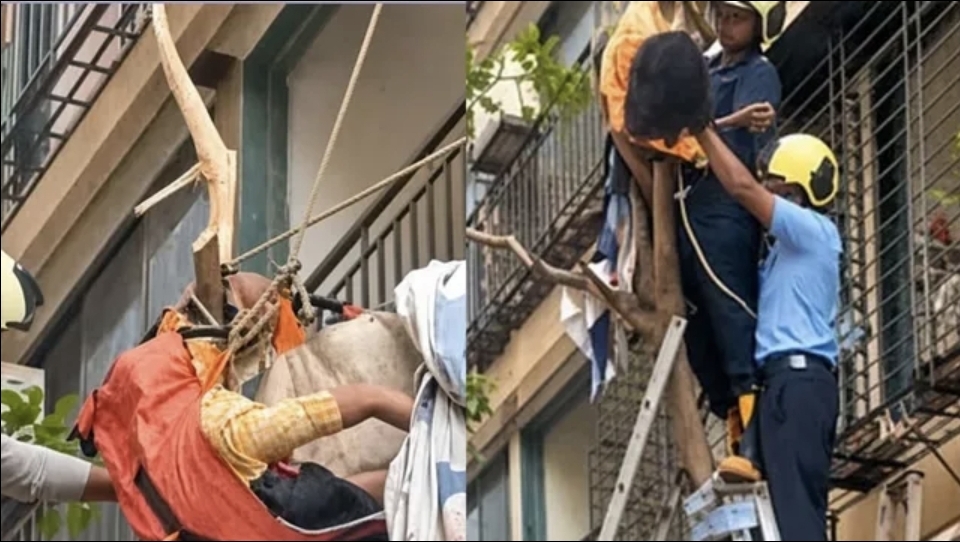 “10-வது மாடியில் இருந்து தவறி விழுந்த பெண்” மரக்கிளையில் சிக்கி உயிர்தப்பிய அதிசயம்…. மகாராஷ்டிராவில் பரபரப்பு சம்பவம்….!!