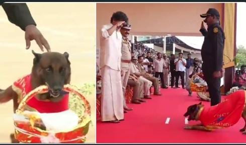 அடடே..! வேற லெவல் சம்பவம்… முதல்வர் விஜய்க்கு மலர் கூடை கொடுத்து சல்யூட் அடித்து மரியாதை செலுத்திய மோப்ப நாய்.. ஆச்சரிய பட வைக்கும் அதிரடி வீடியோ…!!