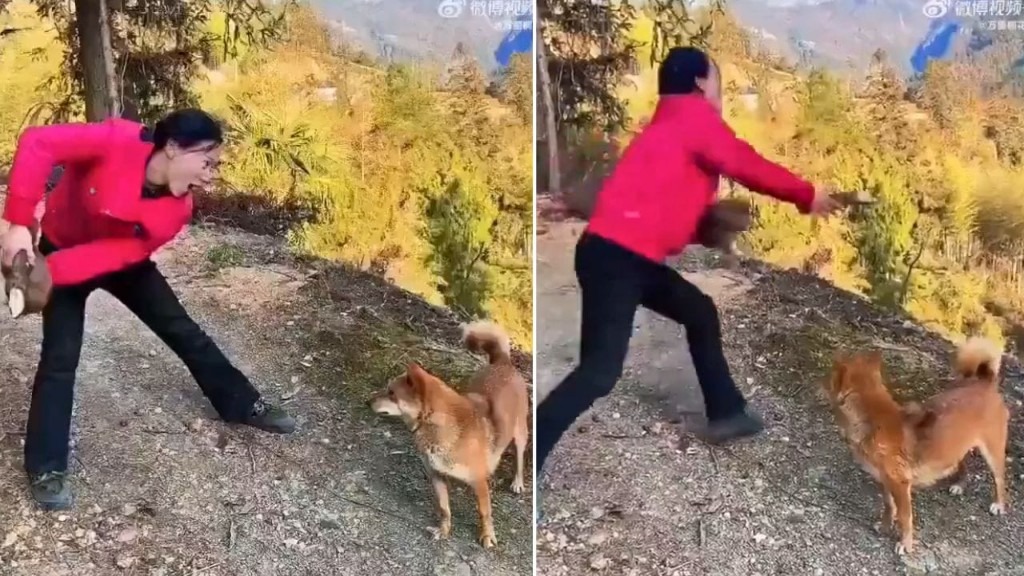 பெண்ணா இல்ல பேயா..? “லைக்குக்காக என்ன வேணாலும் பண்ணுவீங்களா”… தாயின் உணர்ச்சியோடு விளையாடிய பெண்… பரிதவித்து போய் மலையிலிருந்து குதித்து தேடிய தாய் நாய்… கொந்தளிப்பை ஏற்படுத்திய வீடியோ…!