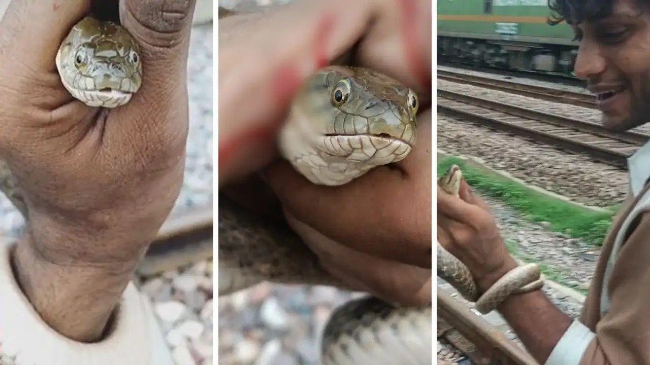 பைத்தியமா டா நீ..! “பாம்பை பிடித்து கட்டைவிரலை வாய்க்குள் நுழைத்த வாலிபர்”… தலைக்கேறிய ரீல்ஸ் பூதம்… அடுத்தடுத்து 3 முறை கையில் ஒரே போடு… உறைய வைக்கும் சம்பவம்…!!