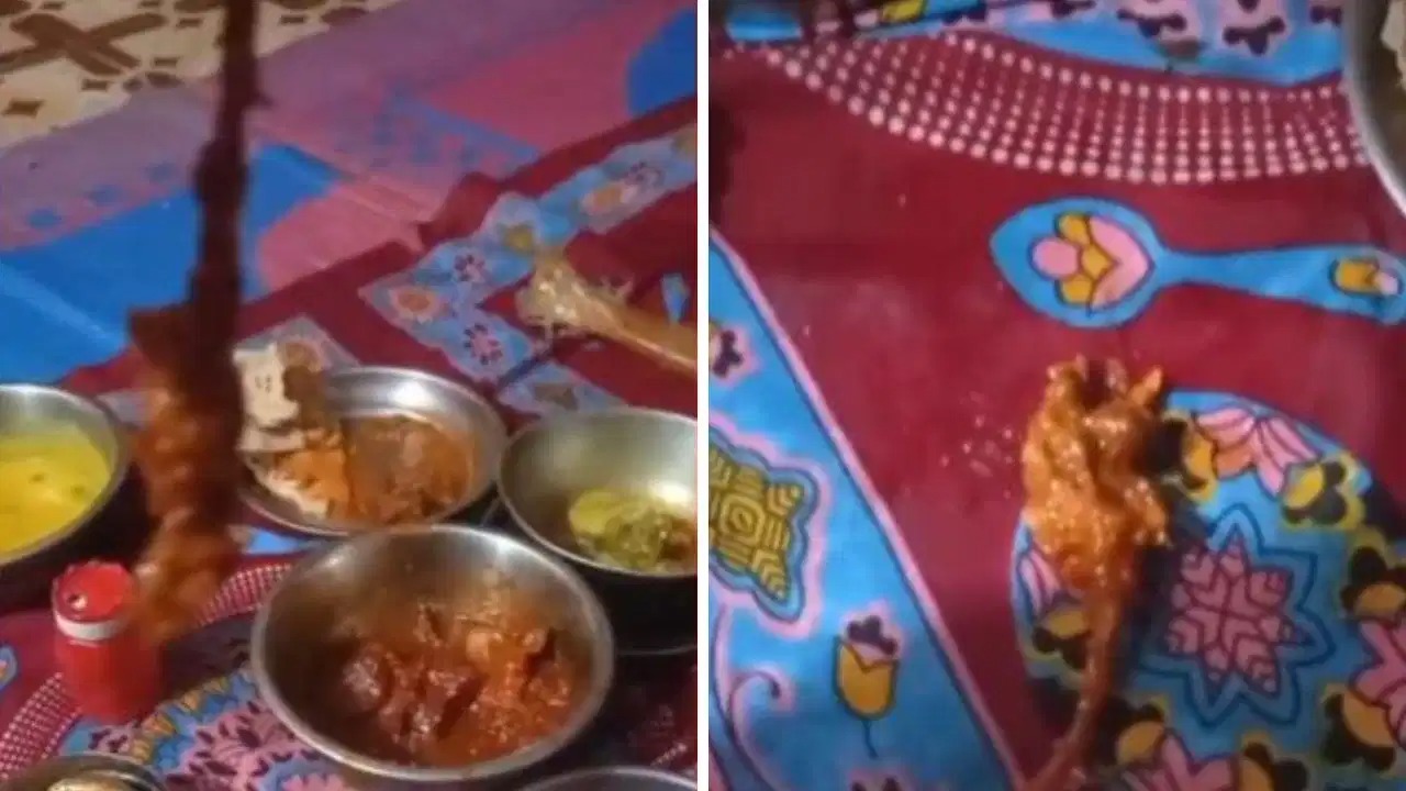 “ஆசை ஆசையா அப்பா வாங்கிட்டு வந்த மட்டன் குழம்பு”… ஃபர்ஸ்ட்  சாப்பிட்ட குழந்தைகள்… ஆனா உள்ள இருந்தது மட்டன் பீஸ் இல்ல செத்த எலி… நெஞ்சை பதற வைக்கும் சம்பவம்..!
