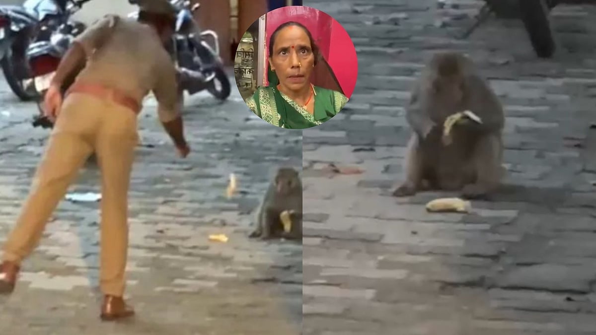 “குரங்கிடம் சிக்கிய லட்சக்கணக்க பணம்!” புத்திசாலித்தனமாக போலீஸ் செய்த காரியம்… வைரலாகும் சுவாரஸ்ய சம்பவம்!!!”