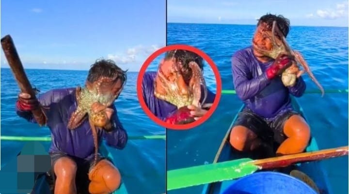 “எட்டு கால்களுடன் மரணப் பிடி”… கடலுக்கு மீன் பிடிக்கப் போன மீனவருக்கு உயிர் பயத்தை காட்டிய ஆக்டோபஸ்… மூச்சுக் கூட விட முடியல… மூங்கில் கட்டையால் உயிர் பிழைத்த அதிசயம்… பகீர் வீடியோ..!!!
