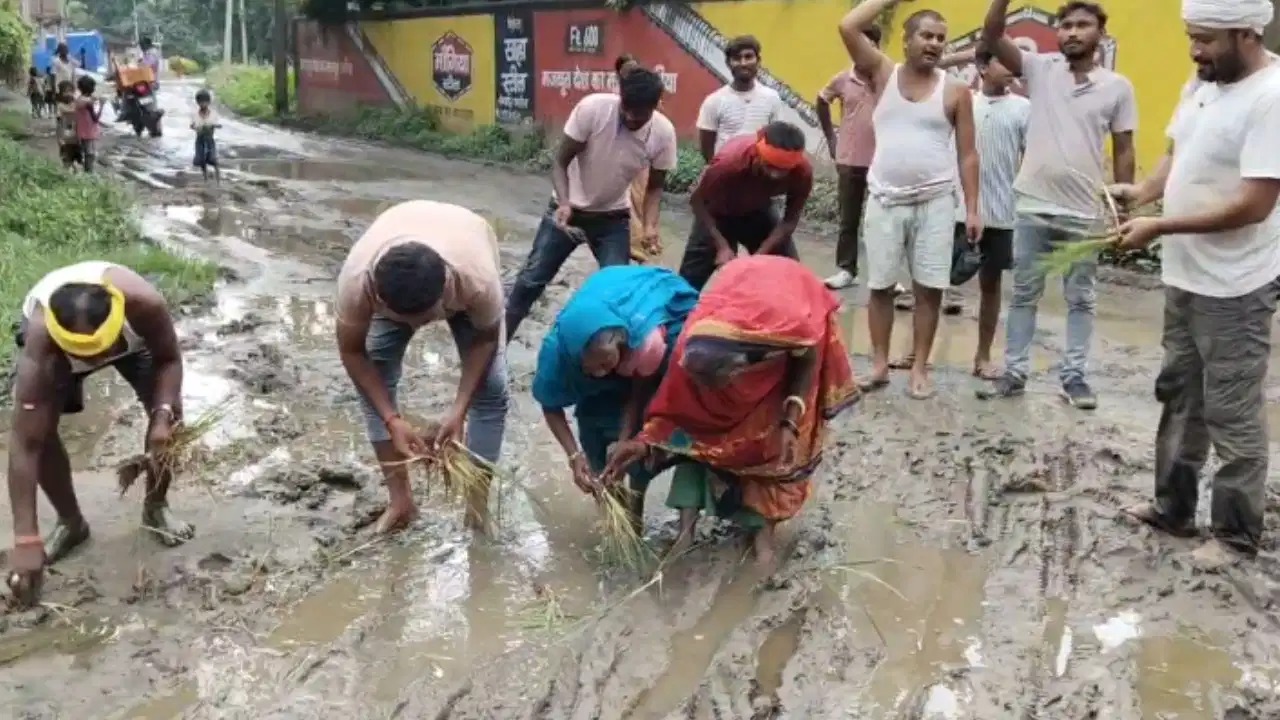 நடு ரோட்டில் நெல் நாற்று…! “நீங்க ரோடு போடலாம் நாங்க இப்ப இங்க விவசாயம் செய்வோம்”.. களத்தில் இறங்கி உரம் போட்ட மக்கள்… இப்படி ஒரு சம்பவமா..?