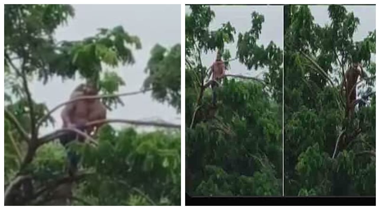 சீறிப்பாய்ந்த வெள்ளம்..! கண்ணிமைக்கும் நொடியில் கழுத்துக்கு வந்த ஆபத்து… ஆற்றுக்கு நடுவே ஒத்த மரம்… கடகடவென ஏறி உச்சிக்கே போன நபர்… திக் திக் நொடிகள்… திகில் வீடியோ…!!!