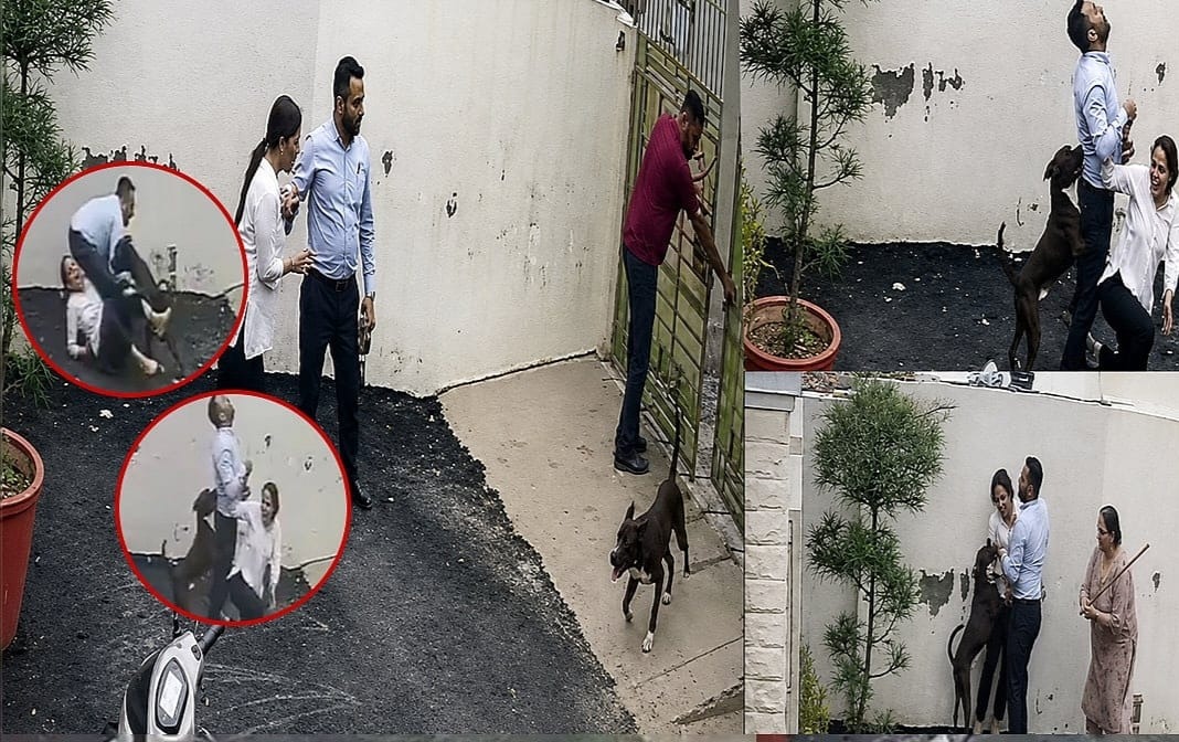 “65 வினாடிகள்”… வெறிபிடித்து கணவன் மனைவியை நடுரோட்டில் விரட்டி விரட்டி கடித்து குதறிய பிட்புல் நாய்… ரத்த வெள்ளத்தில் மிதந்த தம்பதி… வீடு பார்க்க போனவங்களுக்கு வளர்ப்பு நாயால் நடந்த பயங்கரம்… பகீர் வீடியோ..!!