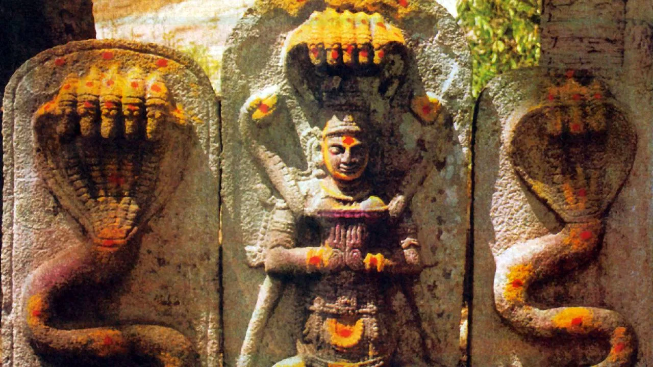 ஜாதகத்தில் காலசர்ப்ப யோகம் இருந்தால் என்ன ஆகும்…? வாழ்க்கையில் தடைகள் வருமா….? பணம், மனநிலை, வெற்றி குறித்து ஜோதிடம் சொல்வது என்ன…?