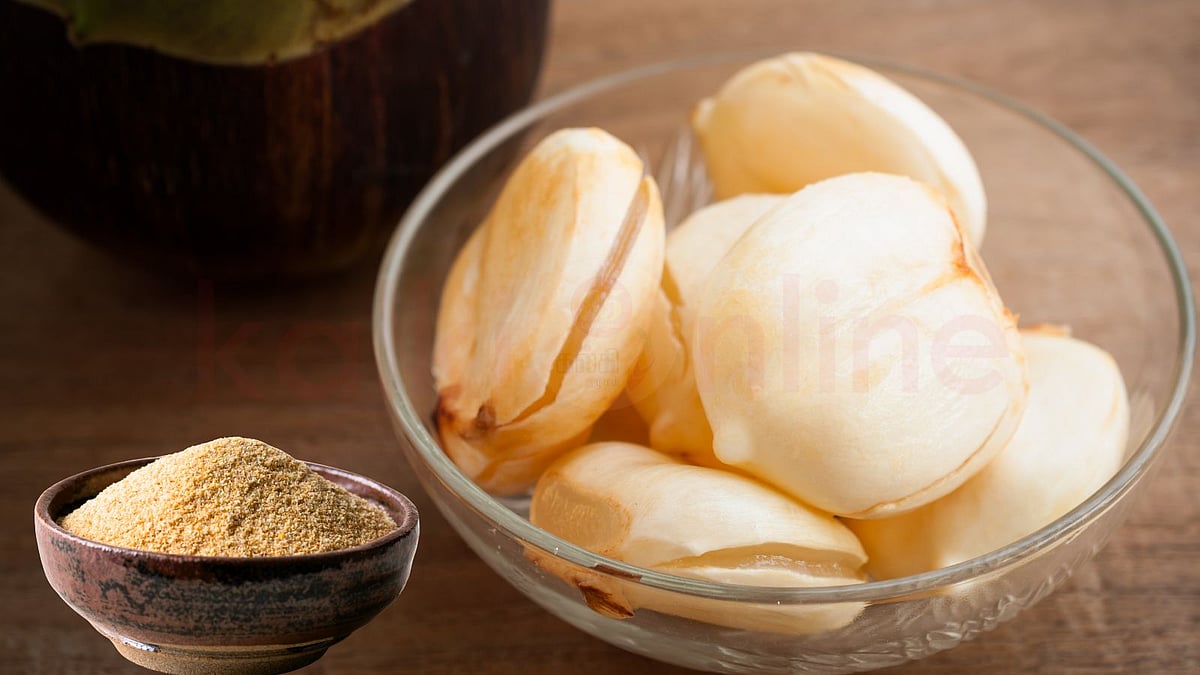 “வருஷம் முழுக்க நுங்கு சாப்பிடணுமா….?” வீட்லயே செய்யக்கூடிய‌… அந்த ரகசியப் பொடி…. தினமும் மோர்ல இந்த ஒரு பொடியைக் கலந்து குடிச்சு பாருங்க….!!!