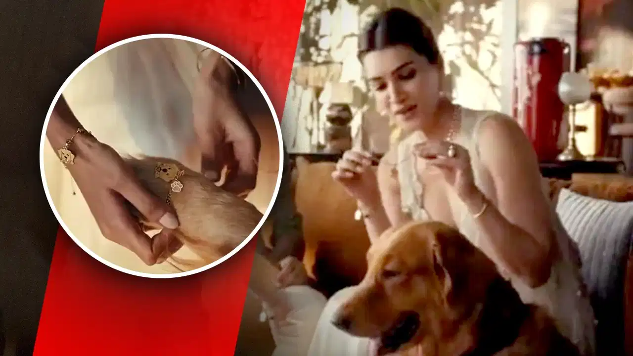 “ராக்கி கட்டுவது சகோதரருக்குத்தானே…?”… எழுந்த புதிய கேள்வி…! கீர்த்தி சனோன் விளம்பரத்தில் நாய்க்கும் ராக்கி கட்டிய காட்சி மதம், பாரம்பரியம் குறித்து விவாதத்தை ஏற்படுத்தியது…!