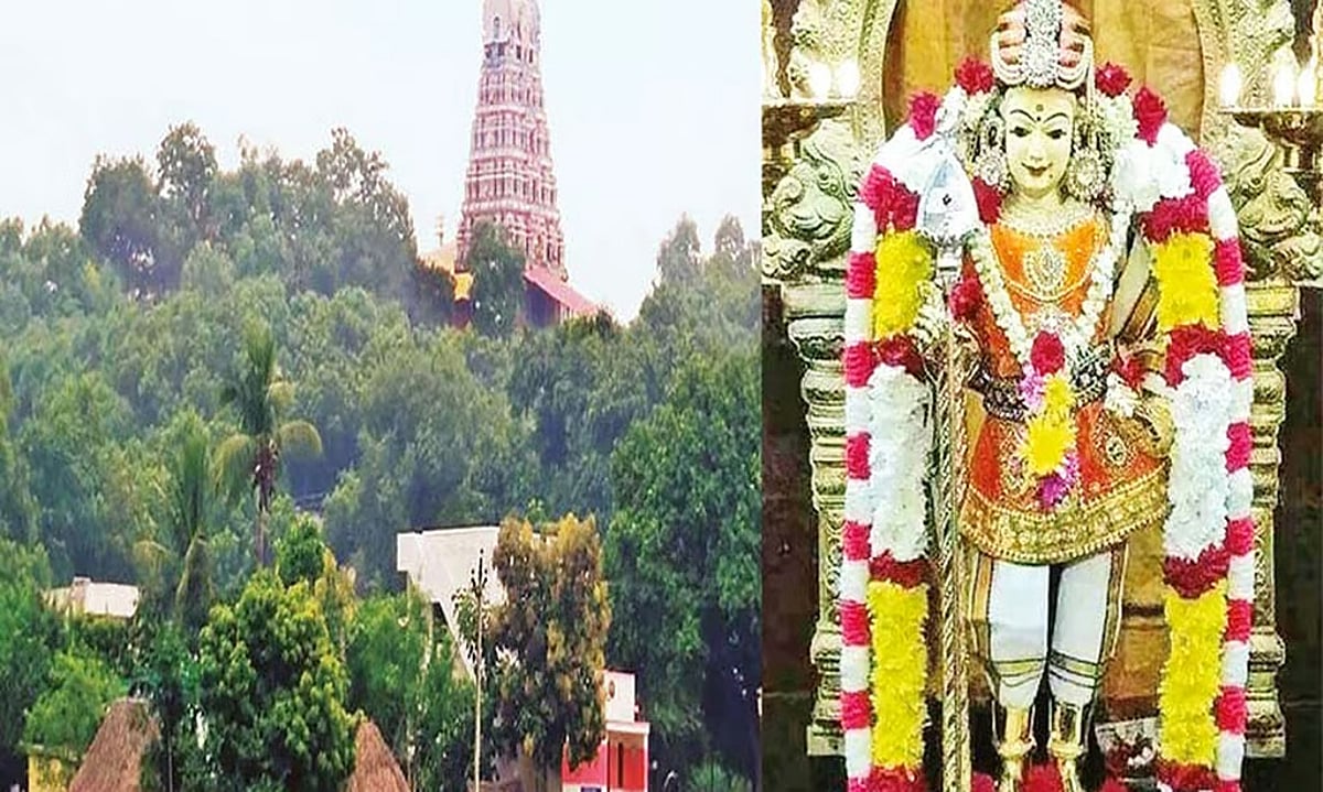 “பல வருடங்களாக குழந்தை பாக்கியம் இல்லையா….?” தாய்மார்களின் கண்ணீரைத் துடைக்கும்…. வெற்றிவேல் முருகன்…. இந்த ஒரு பிரசாதத்தை சாப்பிட்டால்…. விரைவில் மழலை பாக்கியம்….!!