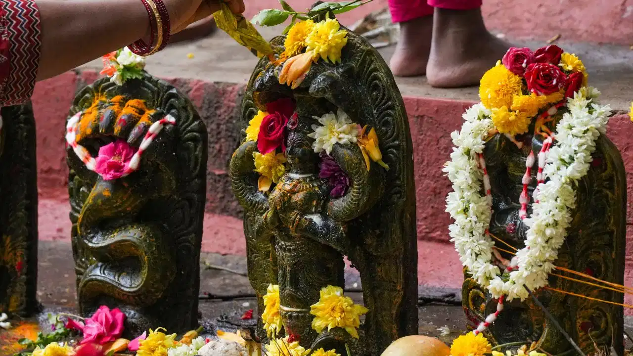 நாக பஞ்சமியில் ஏன் 8 நாகங்களுக்கு சிறப்பு வழிபாடு…? அஷ்ட நாகங்களின் சிறப்புகள்… ஒவ்வொரு நாகத்திற்கும் சொல்லப்படும் சிறப்புகள் என்ன…?