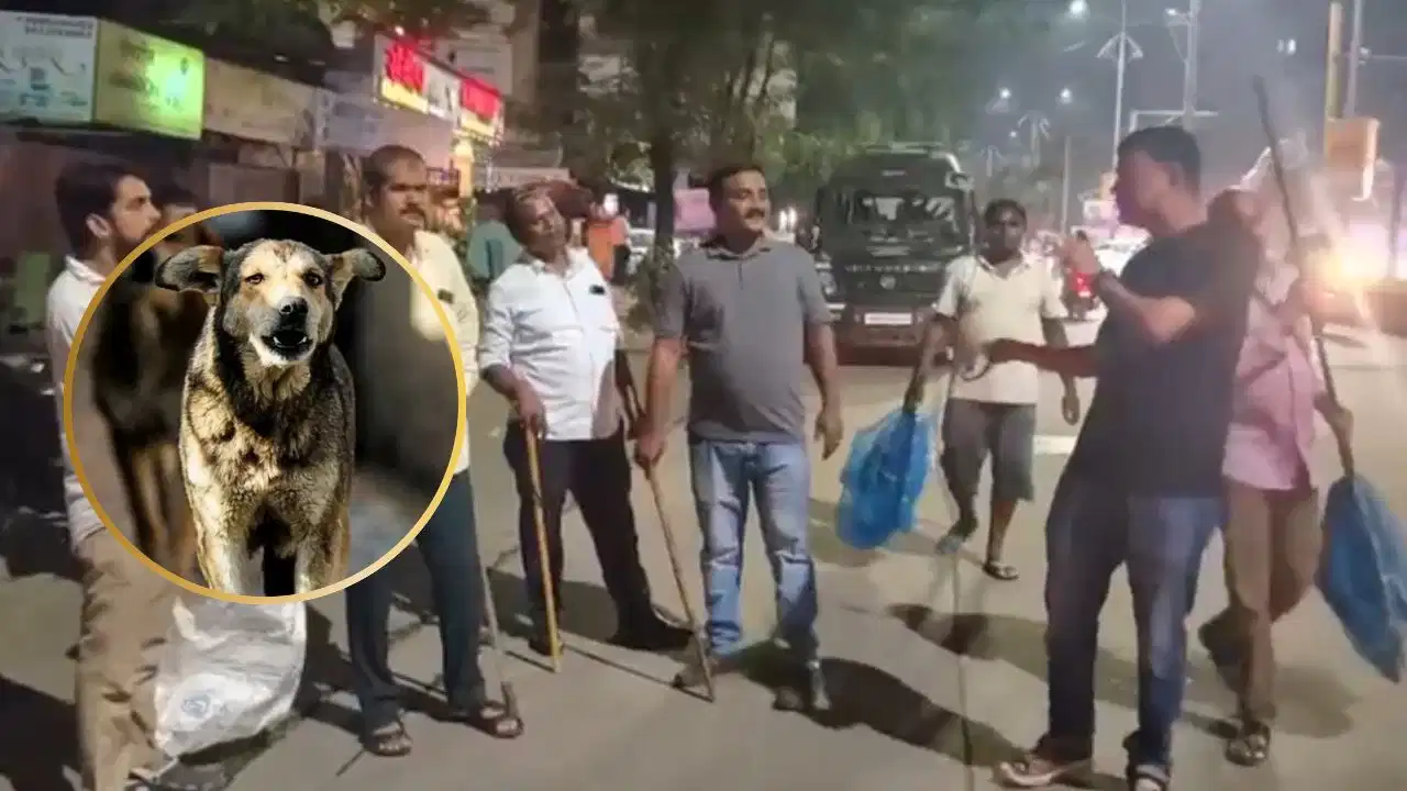 மனிதர்களைப் பார்த்தாலே தலைக்கேறும் வெறி…! ஒன்னு இல்ல ரெண்டு இல்ல 150 பேர்… வெறிகொண்டு கடித்தும் அடங்காமல் அலையும் நாய்… பிடிக்க முடியாமல் திணறும் மக்கள்..!!