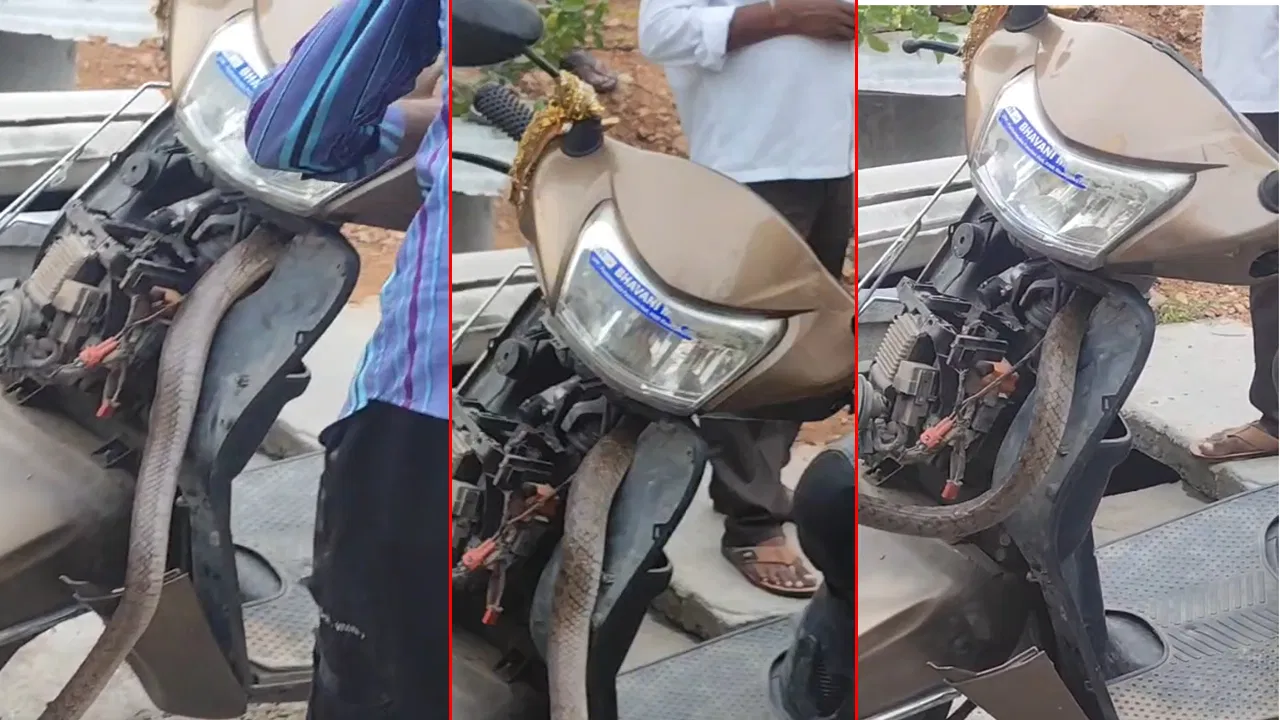 “வண்டியை ஸ்டார்ட் பண்ணும் முன் உஷார் மக்களே!”… ஸ்கூட்டருக்குள் புகுந்த பிரம்மாண்ட பாம்பு… வைரலாகும் த்ரில் வீடியோ..!!!