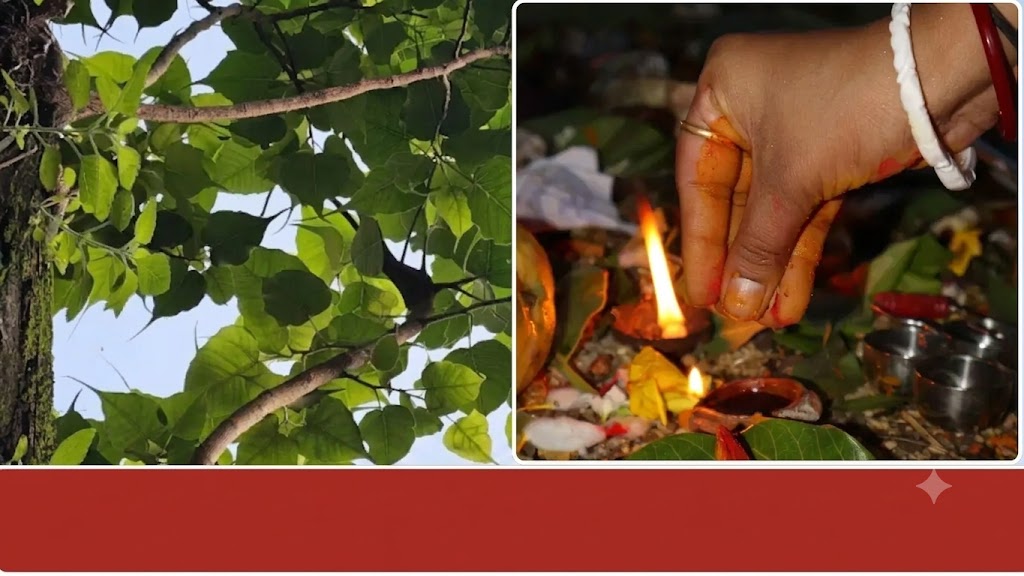 அரசமரத்தடியிலும் ஆலமரத்தடியிலும் விளக்கு ஏற்றுவது ஏன்…? முன்னோர்களின் ஆசி கிடைக்கும் என்ற நம்பிக்கைக்கு பின்னால் இருக்கும் ஆன்மிக காரணம் என்ன தெரியுமா…?
