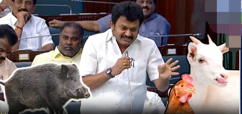 சிக்கன் ஒரு கிலோ ரூ.250, மட்டன் ரூ.600… சிக்கன் மட்டன் விலை எல்லாம் உயர்ந்துட்டு… இனியும் யோசிக்காமல் சுட உத்தரவு கொடுங்க… எம்எல்ஏ தளி ராமச்சந்திரன் அதிரடி பேச்சு…!