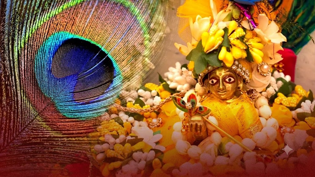கிருஷ்ண ஜெயந்திக்கு முன் வீட்டுக்கு இந்த 5 பொருட்களை வாங்கி வையுங்கள்…! கண்ணனுக்கு பிடித்தவை என நம்பப்படும் இந்த பொருட்கள் என்னென்ன…? செல்வம் பெருகும் என்பது ஐதீகம்… தெரிந்துகொள்ளுங்கள்…!
