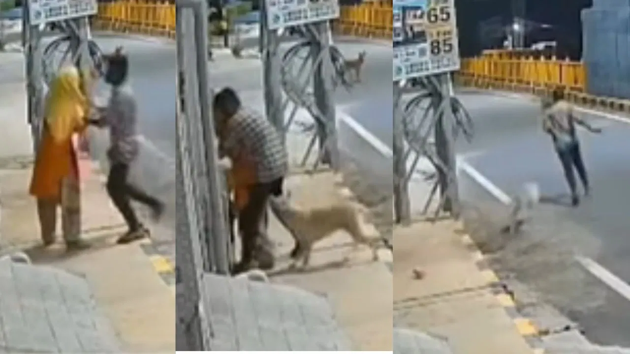 “கேமரால சிக்கிய படு மோசமான சம்பவம் இது!”.. மனநலம் பாதிக்கப்பட்ட நள்ளிரவில் பெண்ணுக்கு அத்துமீறல்… வைரலாகும் திகில் வீடியோ..!!!